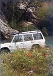Pajero _15.jpg